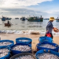 Village de pêcheurs au Vietnam : une journée à Quy Nhon