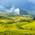 Circuit Bắc Hà – Y Tý en 3 jours : une immersion dans le Nord du Vietnam
