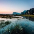 La lagune de Van Long