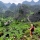 Trekking au Vietnam : Sapa, Hà Giang ou Tà Xùa, quelle destination choisir ?