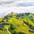 5 lieux où admirer les plus belles rizières en terrasse de Hoang Su Phi  